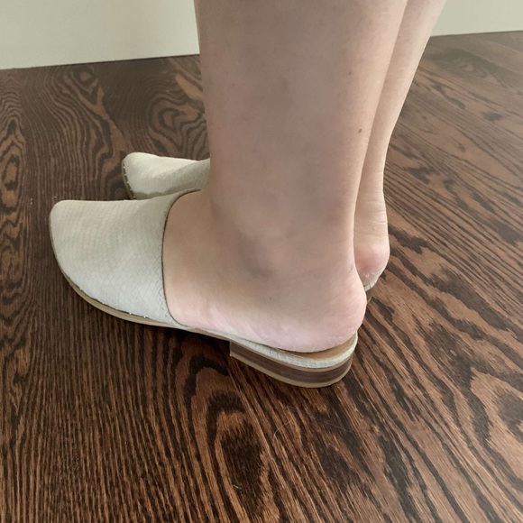 Report mules - Picture 7 of 8